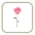BeautifulWallpapers